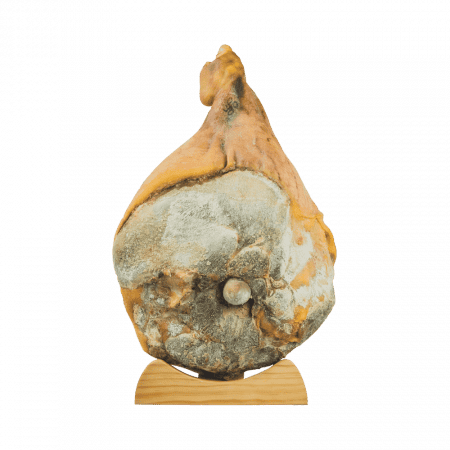 jambon de bayonne entier avec os