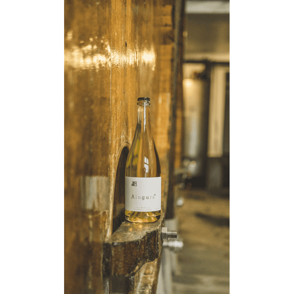 cidre brut bio cidre brut bio